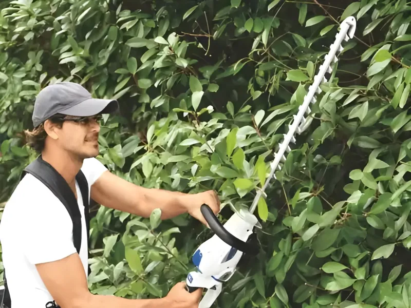 Zomax 58v battery powered hedge trimmer