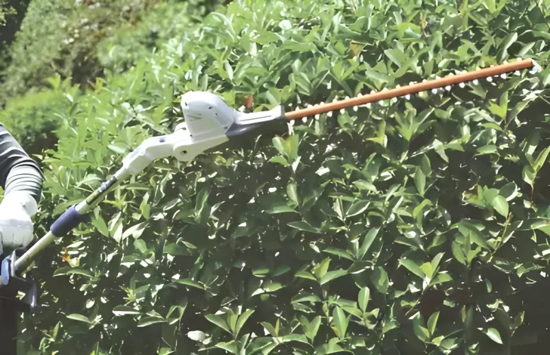 Zomax 58V cordless garden tools high reach